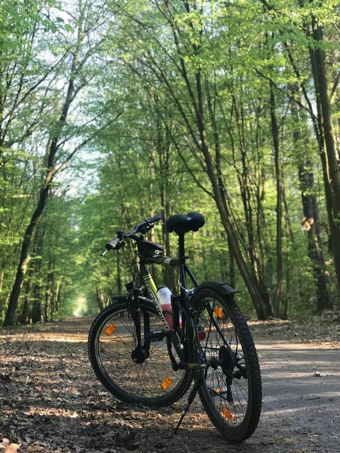 "Casa20200" 2 X Apartments Je 150Qm Fuer Business, Familien, Gruppen, Handwerker 15Min Von Berlin, Erdbeerhof, Outlet B5, 5Min Vom See Falkensee !! 2 Apartment Each 150Qm For Business , Families 15Min From Berlin!! エクステリア 写真
